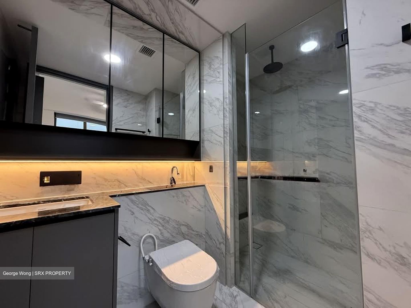 The Landmark (D3), Condominium #551699991